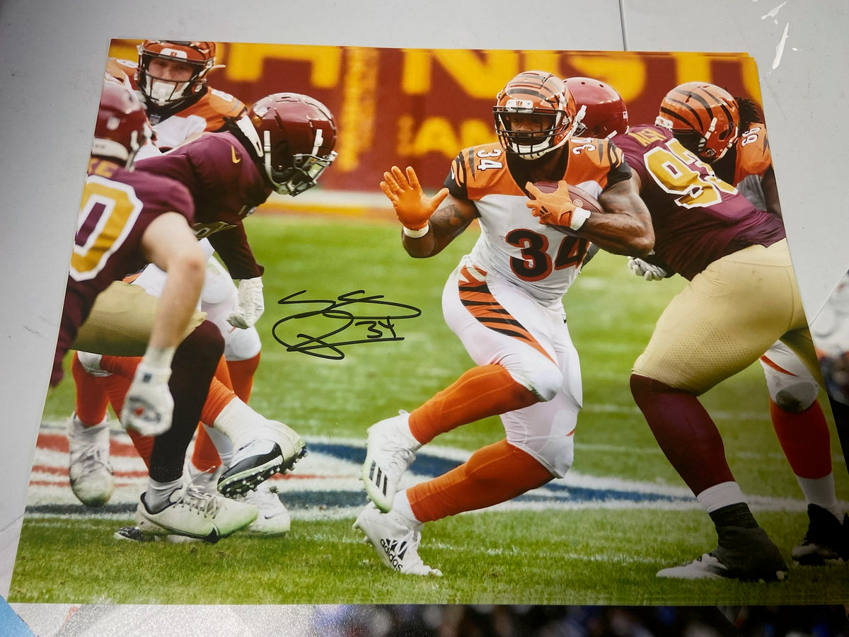 SAMAJE PERINE BENGALS 8x10 PHOTO - – Playball Ink